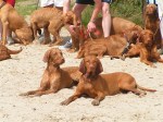 wandeling 2005