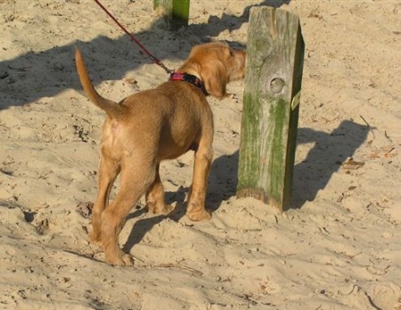 wandeling 2007
