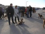 wandeling 2011
